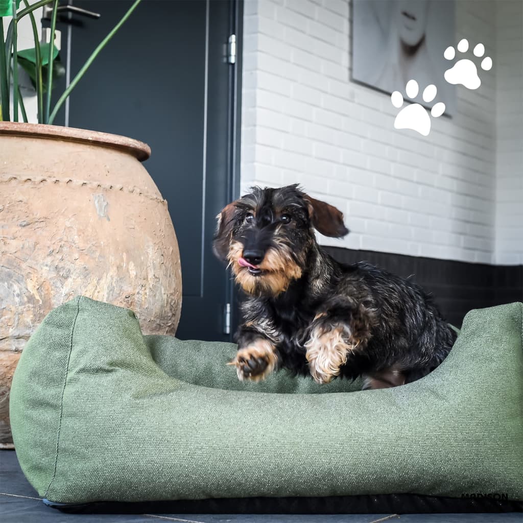 Madison Outdoor Dog Bed Manchester 80x67x22 cm Taupe - Dog Beds