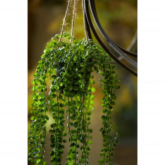 Emerald Artificial Ficus Pumila Hanging Bush in Pot 60 cm - Artificial Flora