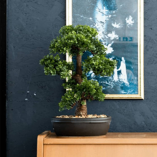 Emerald Artificial Ficus Mini Bonsai on Brown Plate 43 cm - Artificial Flora