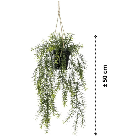 Emerald Artificial Asparagus Hanging Bush 50 cm in Pot - Artificial Flora