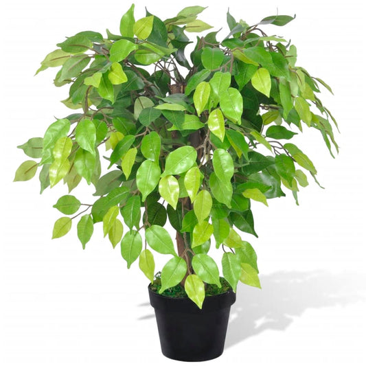 Artificial Dwarf Ficus with Pot 60 cm - Artificial Flora